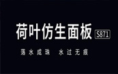 ＯF2024Ȱ˴PI~Pc