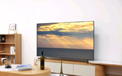 ^QҕJ2025 Mini LED㡱CTCL C11K