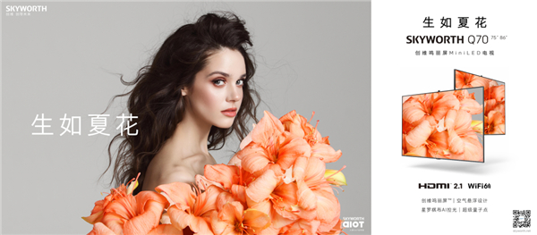 SQ70QMiniLEDҕذ 조족Ƭ